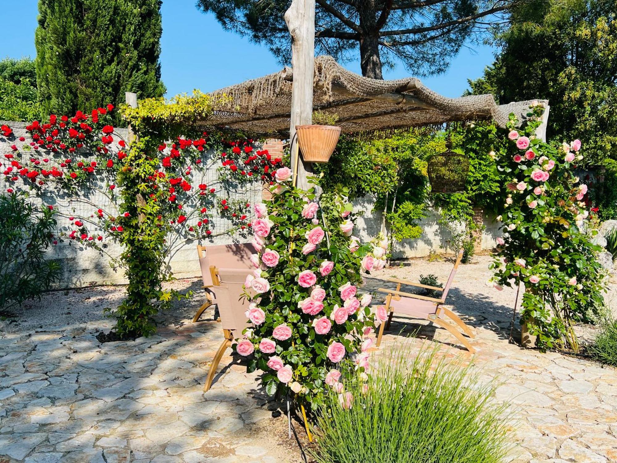 Le Case Di Lisetta Holiday Homes Корчано Экстерьер фото