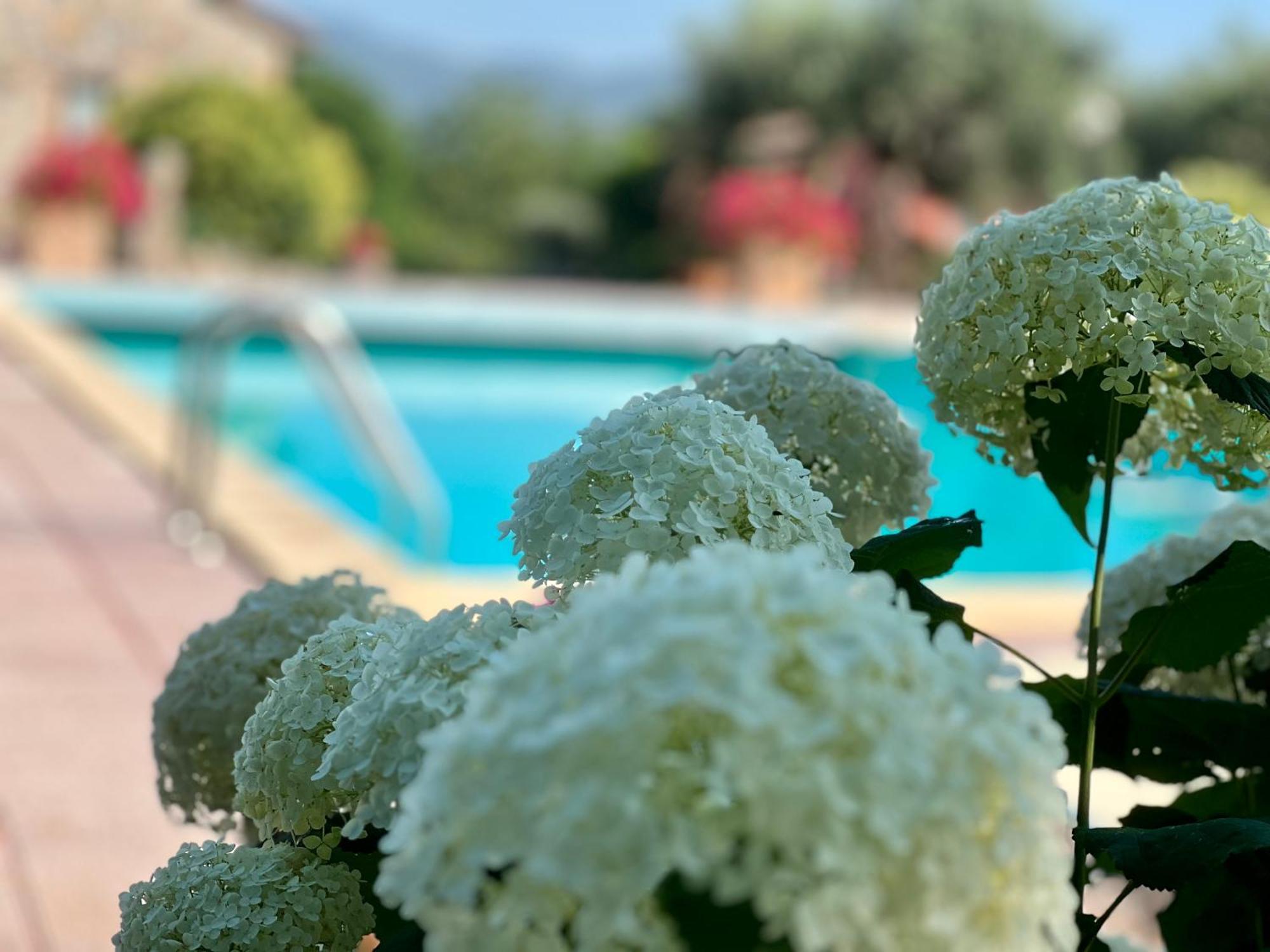 Le Case Di Lisetta Holiday Homes Корчано Экстерьер фото
