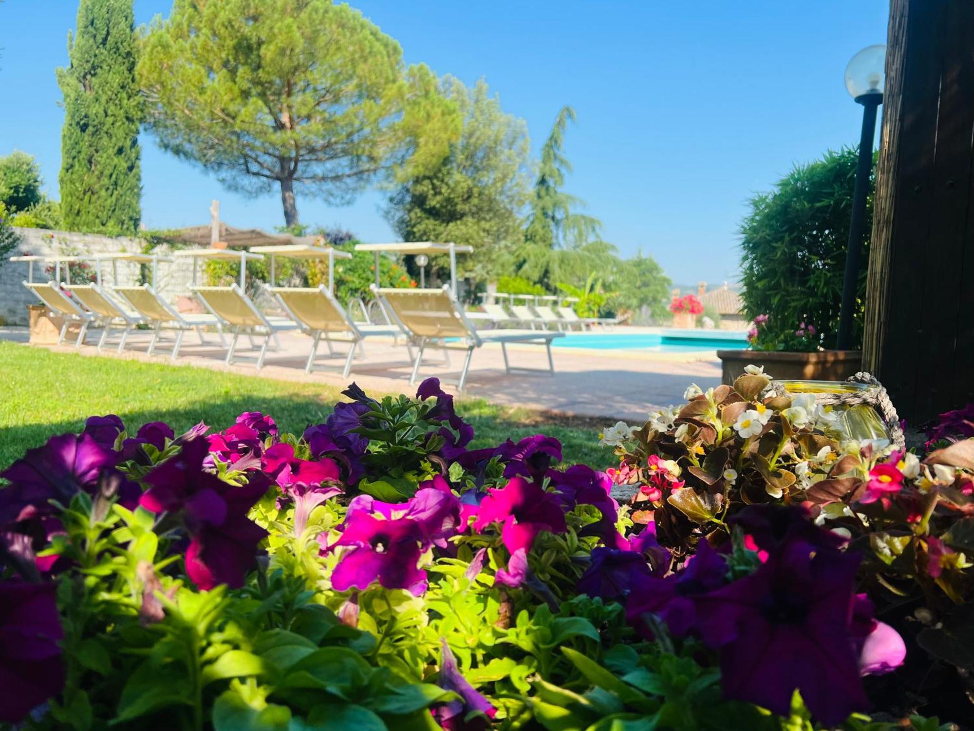 Le Case Di Lisetta Holiday Homes Корчано Экстерьер фото