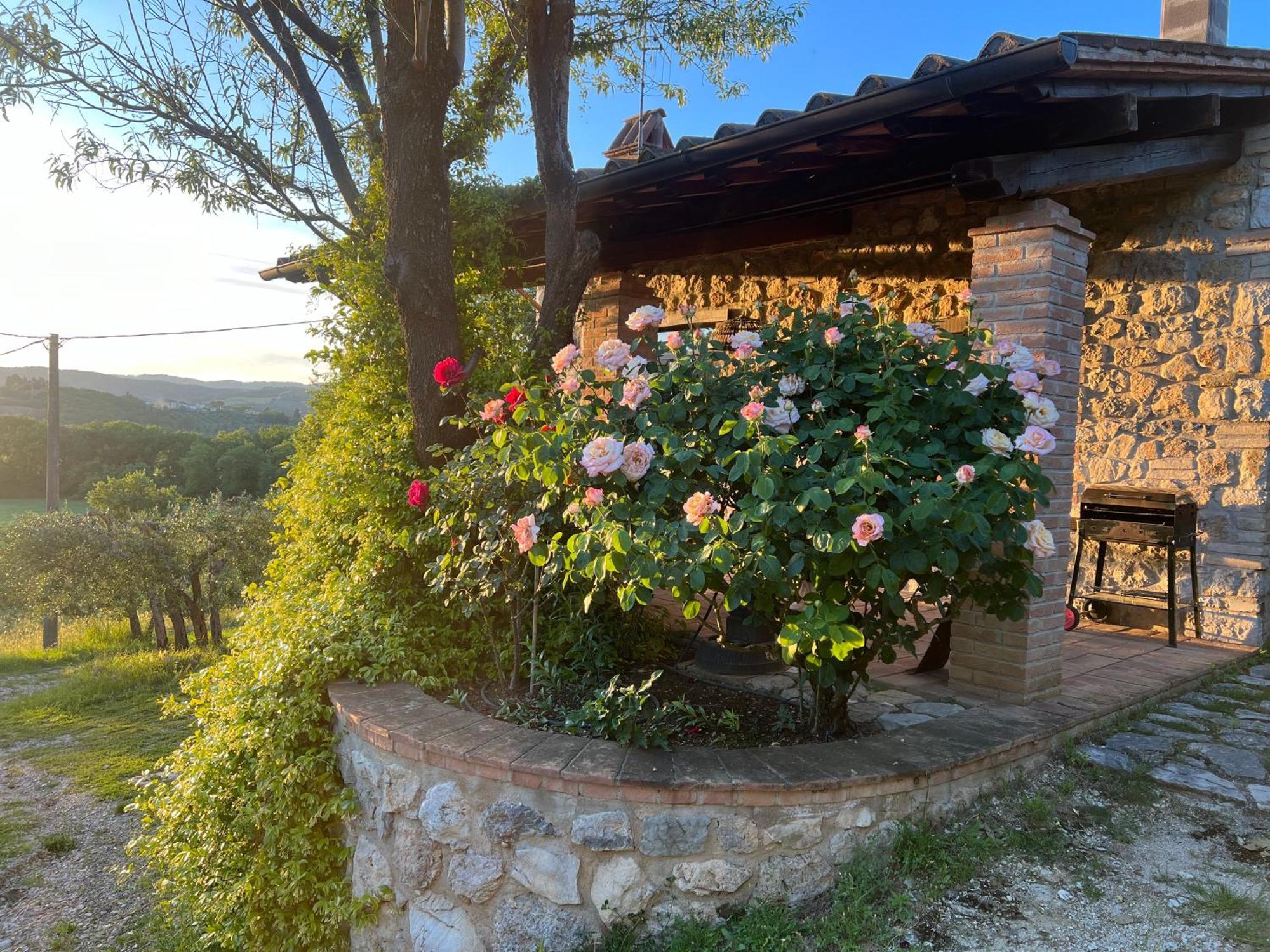 Le Case Di Lisetta Holiday Homes Корчано Экстерьер фото