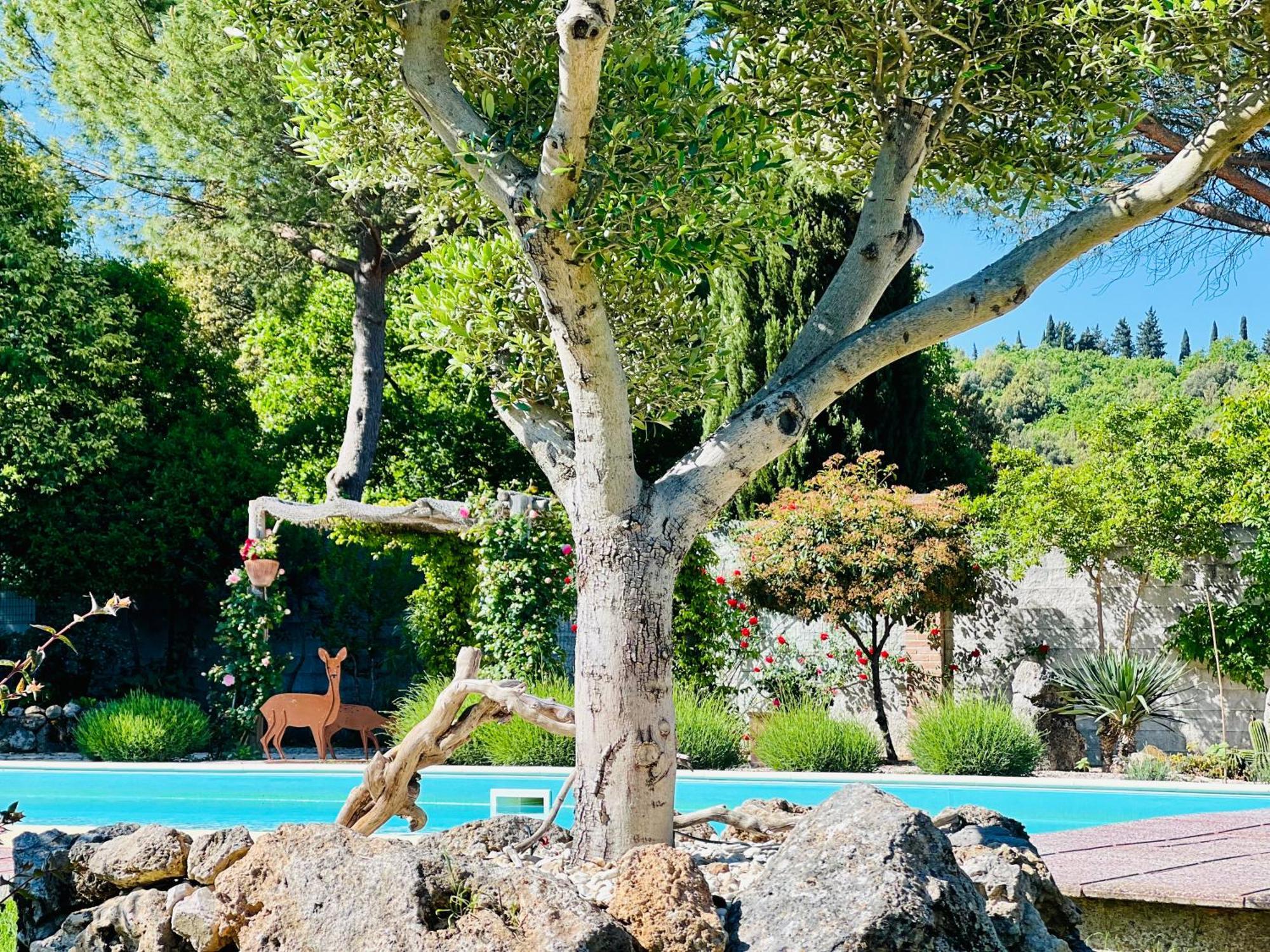 Le Case Di Lisetta Holiday Homes Корчано Экстерьер фото