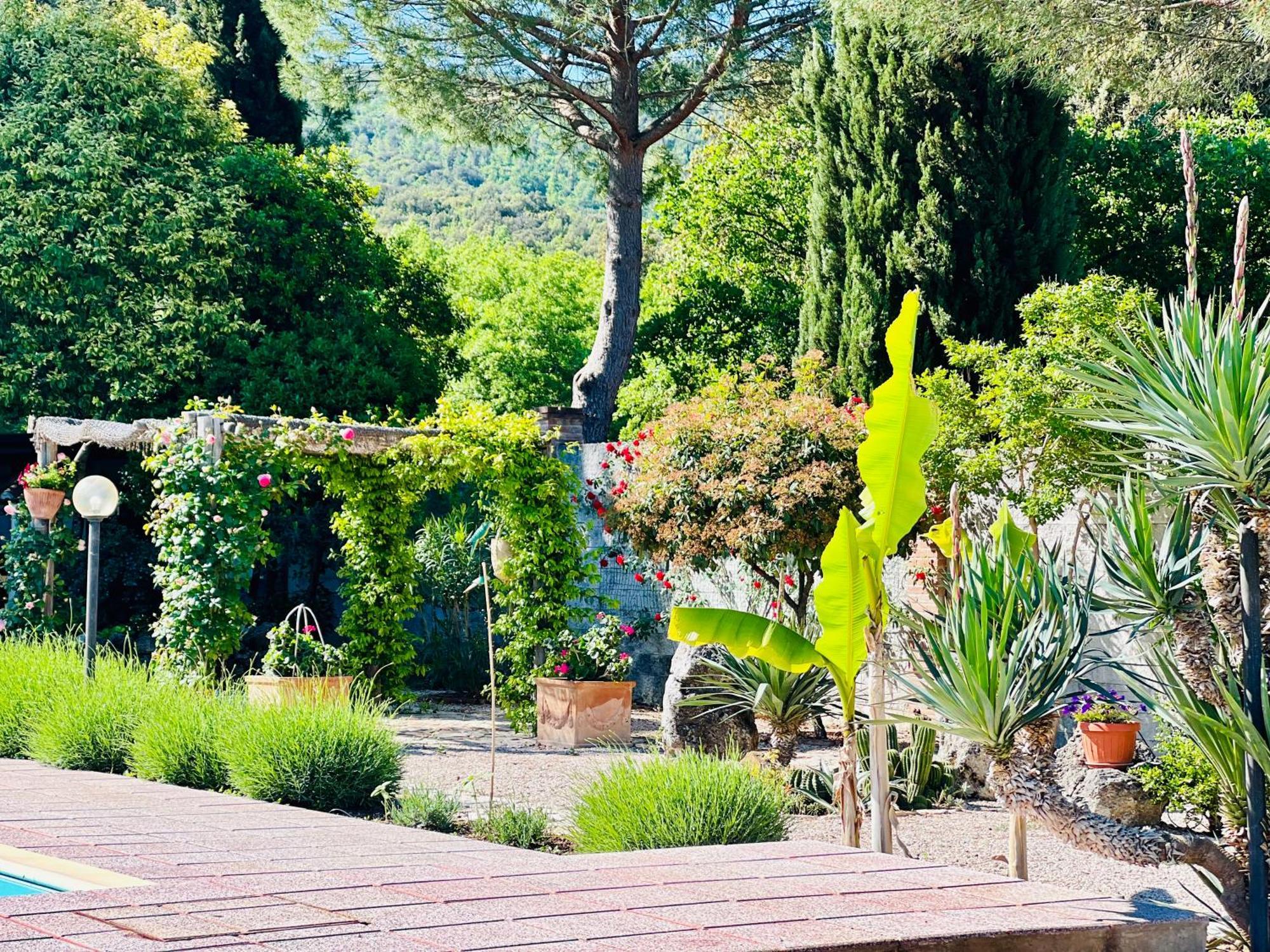 Le Case Di Lisetta Holiday Homes Корчано Экстерьер фото