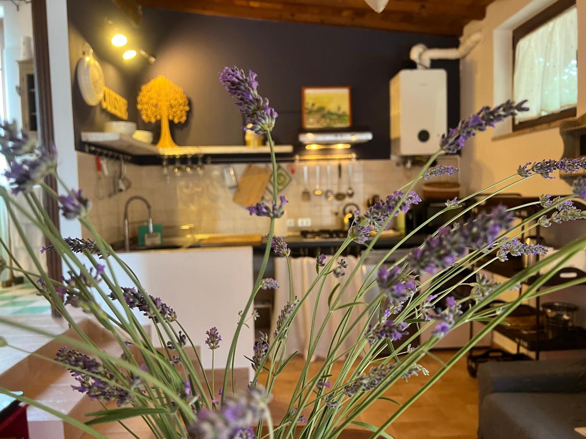 Le Case Di Lisetta Holiday Homes Корчано Экстерьер фото