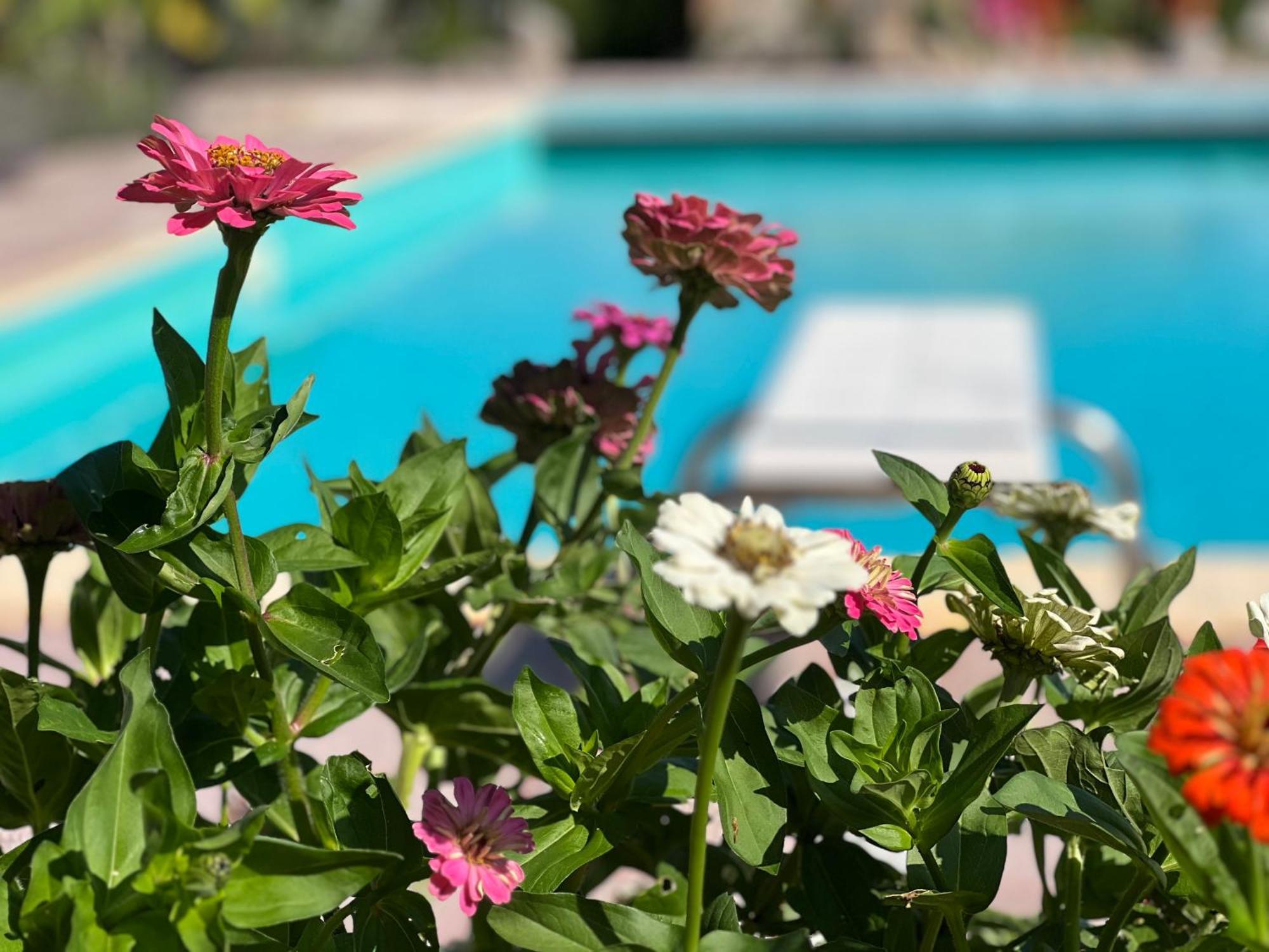 Le Case Di Lisetta Holiday Homes Корчано Экстерьер фото